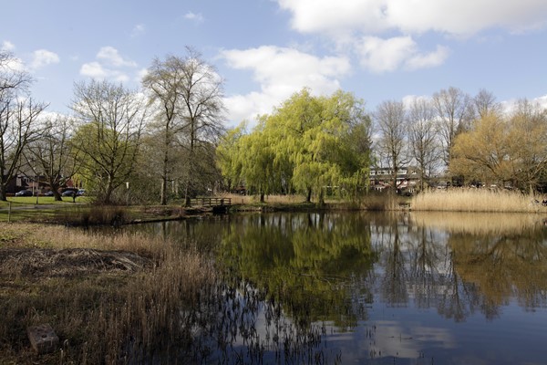 Medium property photo - Vredenburchstraat 18A, 4811 RD Breda
